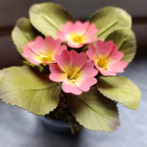 primule in carta