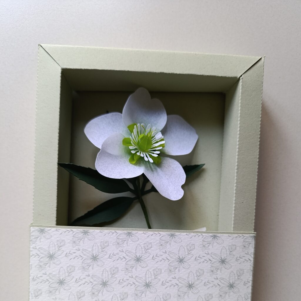 Segnaposto con elleboro di carta